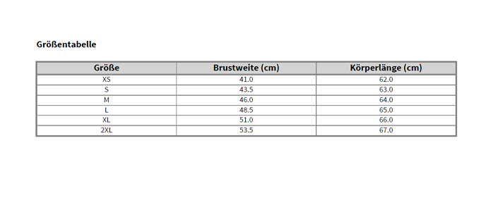 Russell Athletic Ladies T-Shirt 180F Grau S Lieferservice HR Team